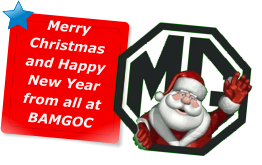 Merry Christmas and Happy New Year from all at BAMGOC