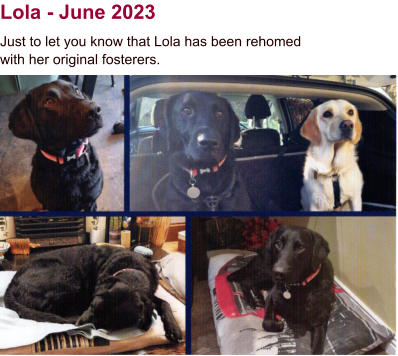Lola - June 2023 Just to let you know that Lola has been rehomed with her original fosterers.